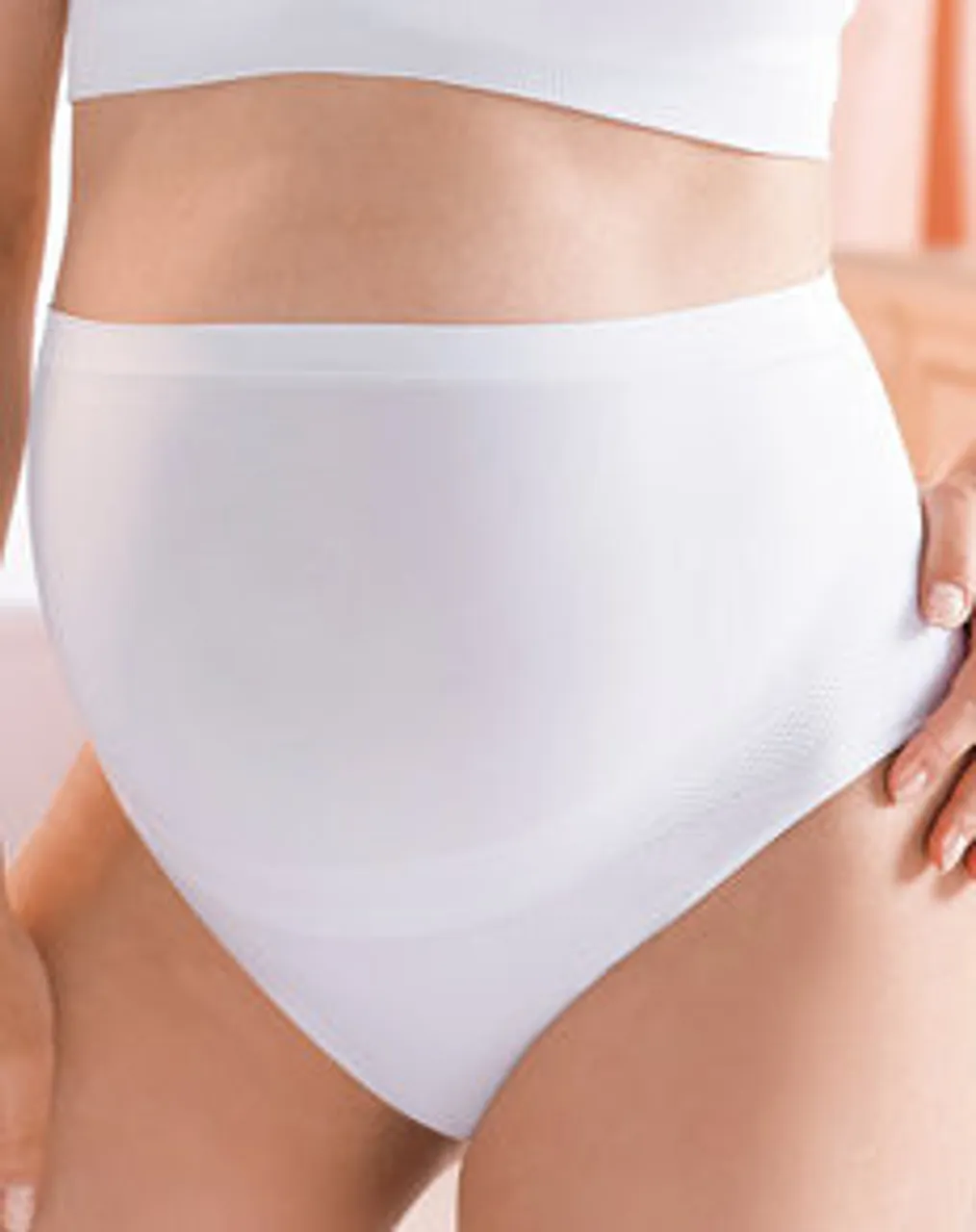 ---------Anita International ------- -----Anita Maternity Brief, 1502