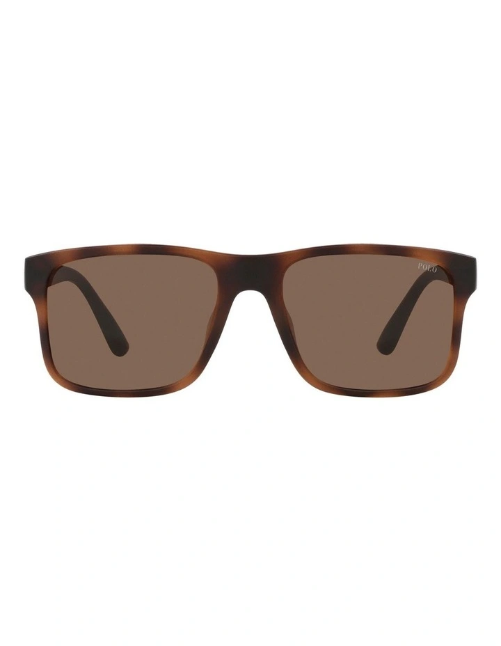 PH4195U Sunglasses in Brown