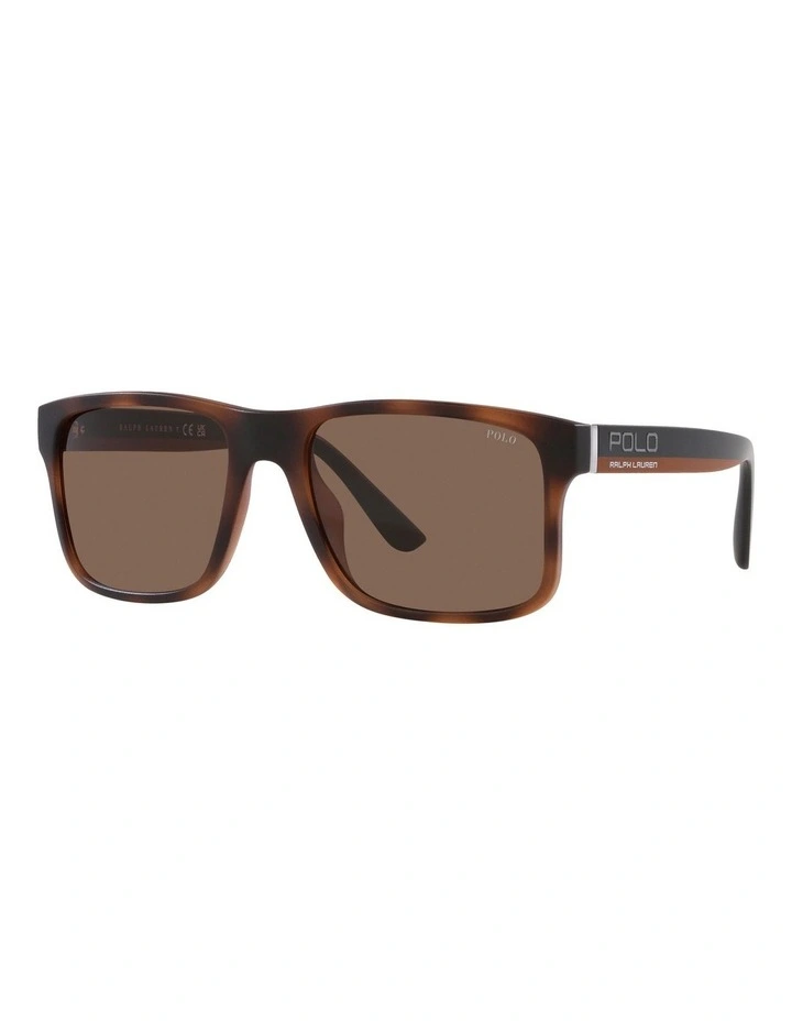 PH4195U Sunglasses in Brown