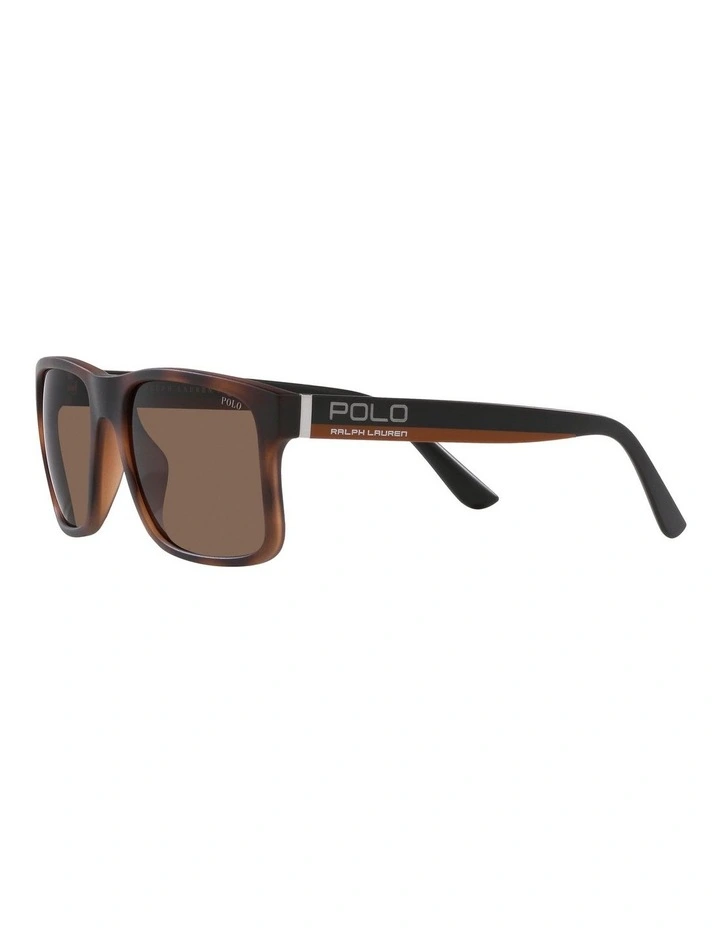 PH4195U Sunglasses in Brown