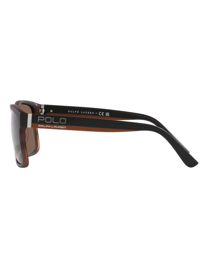 PH4195U Sunglasses in Brown