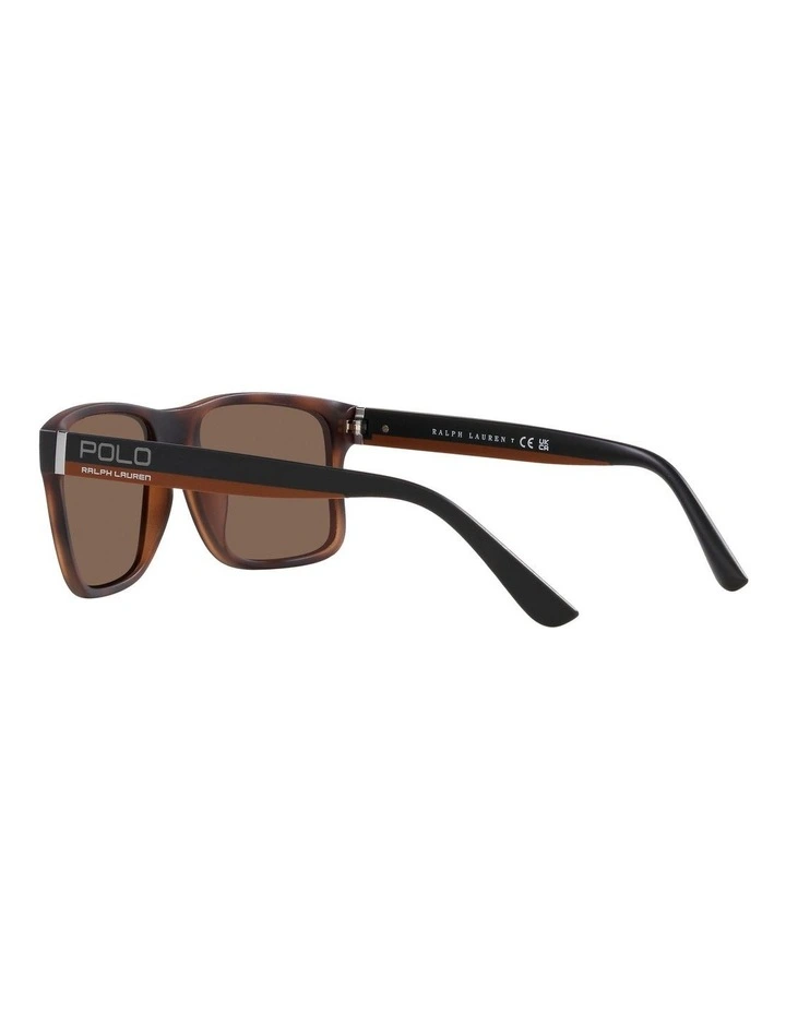 PH4195U Sunglasses in Brown