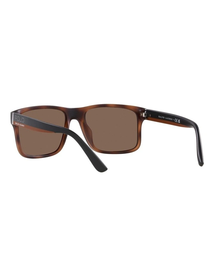 PH4195U Sunglasses in Brown