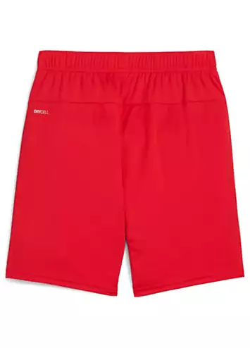 Puma Kids teamGoal Training Shorts | Grattan