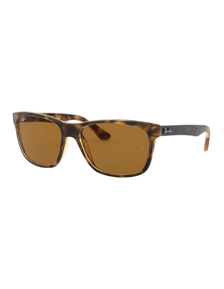 RB4181 Brown Polarised Sunglasses