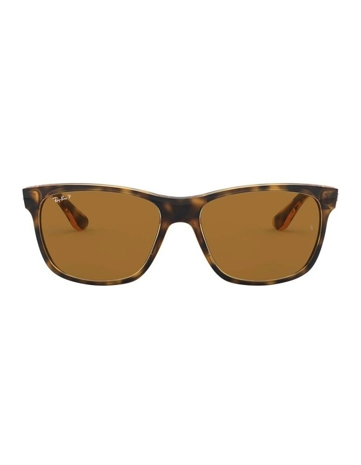 RB4181 Brown Polarised Sunglasses