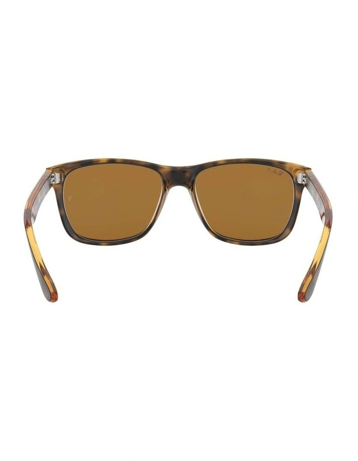 RB4181 Brown Polarised Sunglasses