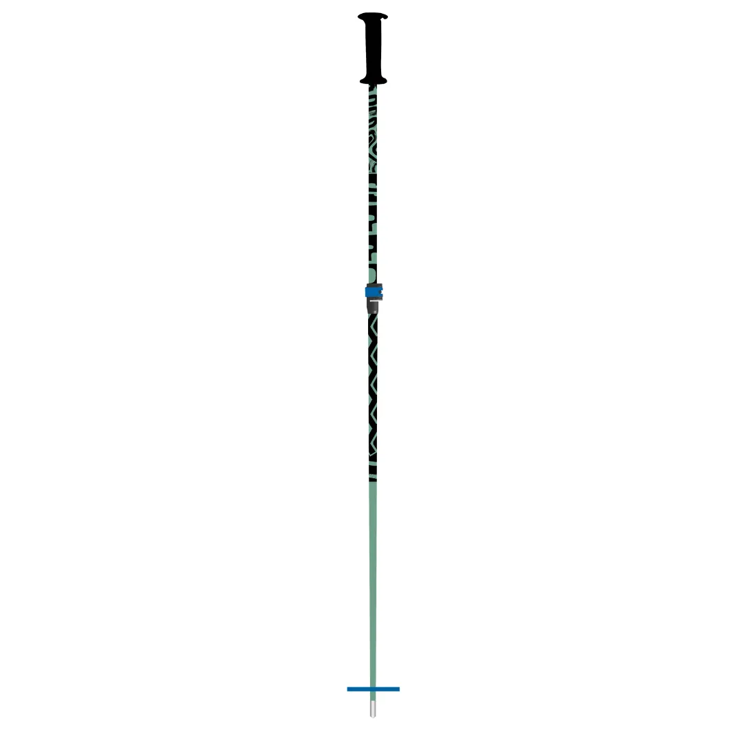 Sprout Junior Expandable Ski Pole 2023/2024|FCSki.Com|In Stock