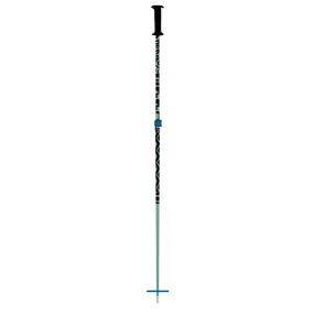 Sprout Junior Expandable Ski Pole 2023/2024|FCSki.Com|In Stock