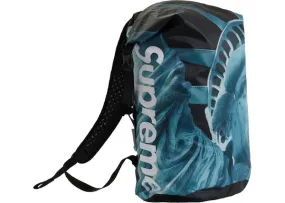 SUPREME 19FW TNF STATUE OF LIBERTY BACKPACK